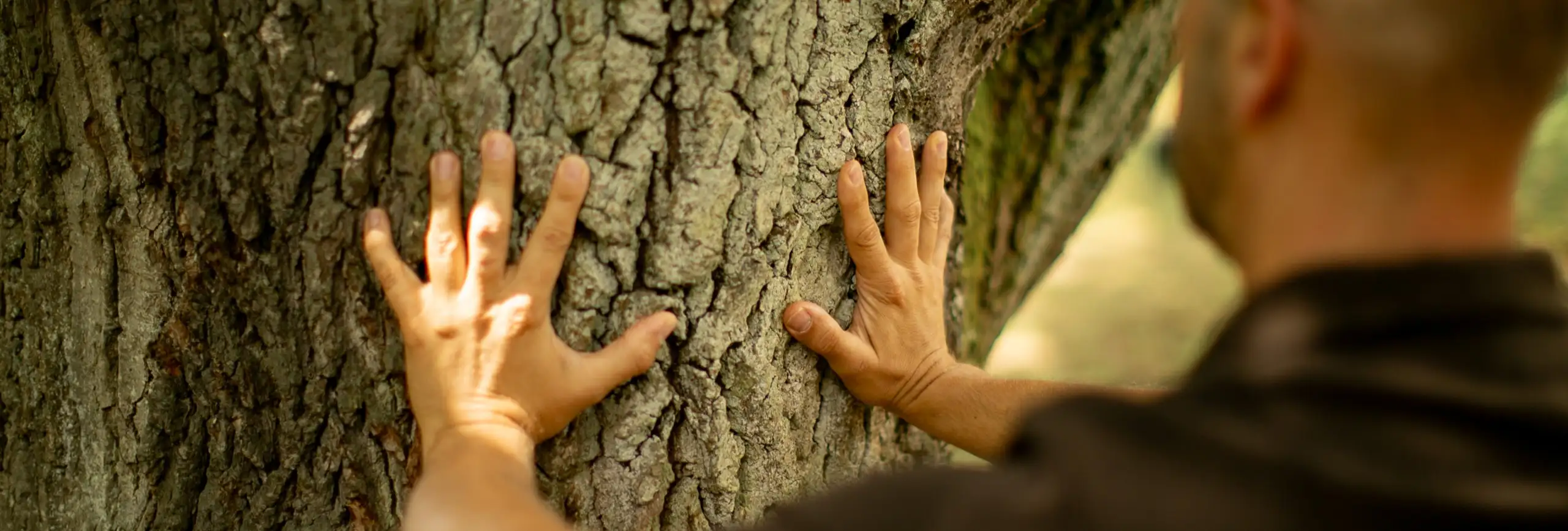 Kontakt Header Image